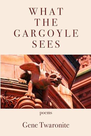 What the Gargoyle Sees by Gene Twaronite