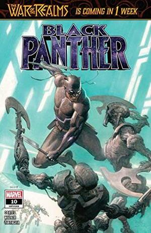Black Panther (2018-) #10 by Paolo Rivera, Kev Walker, Daniel Acuña, Ta-Nehisi Coates