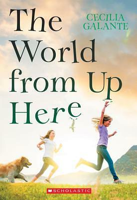 The World from Up Here by Cecilia Galante