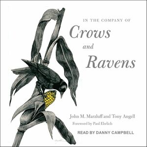 In the Company of Crows and Ravens by Tony Angell, John M. Marzluff, Paul R. Ehrlich