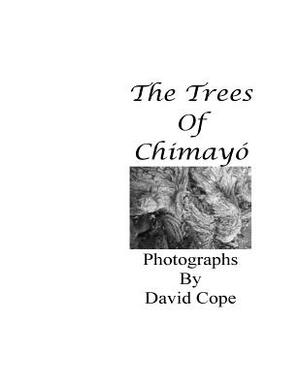 The Trees Of Chimayo by David Cope