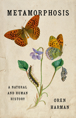Metamorphosis  by Oren Harman