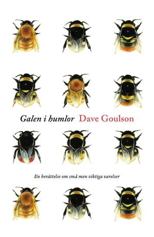 Galen i humlor by Dave Goulson