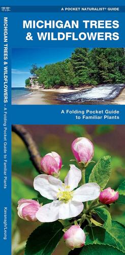 Michigan Trees & Wildflowers: A Folding Pocket Guide to Familiar Species by James Kavanagh