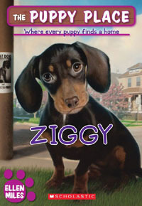 Ziggy by Ellen Miles