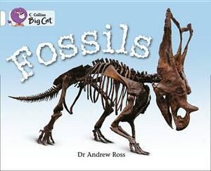 Fossils Workbook by Andrew Ross