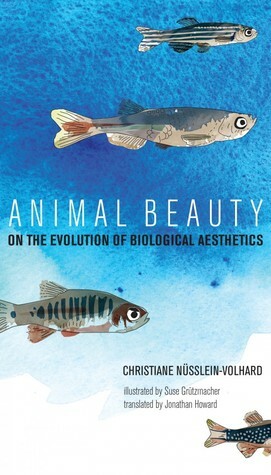 Animal Beauty: On the Evolution of Biological Aesthetics by Christiane Nüsslein-Volhard, Jonathan Howard, Suse Grutzmacher