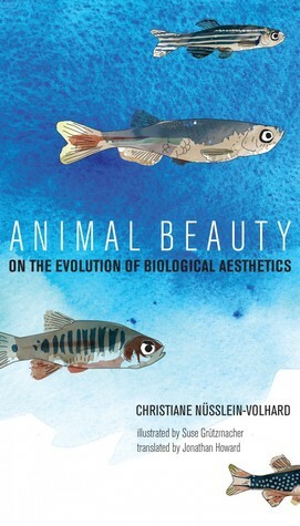 Animal Beauty: On the Evolution of Biological Aesthetics by Suse Grutzmacher, Christiane Nüsslein-Volhard, Jonathan Howard