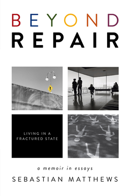 Beyond Repair: Living in a Fractured State by Sebastian Matthews