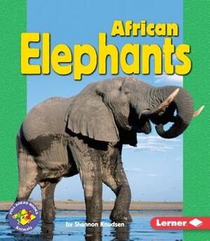 African Elephants by Shannon Knudsen