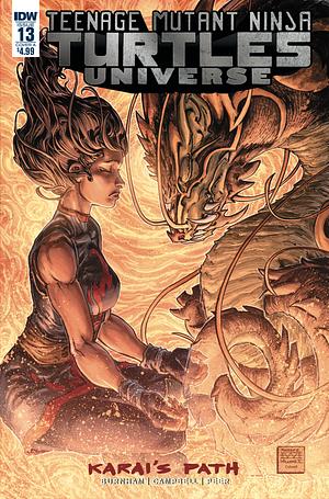 Teenage Mutant Ninja Turtles Universe #13 by Erik Burnham