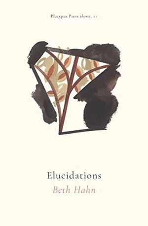 Elucidations by Beth Hahn