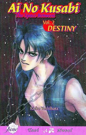 AI No Kusabi the Space Between Volume 2: Destiny (Yaoi Novel) by Rieko Yoshihara