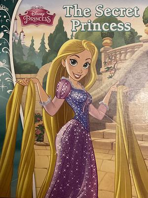 The Secret Princess by disney