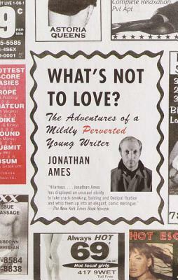 What's Not To Love?: The Adventures of a Mildly Perverted Young Writer by Jonathan Ames