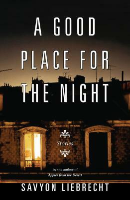 A Good Place for the Night: Stories by Savyon Liebrecht