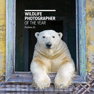 Wildlife Photographer of the Year: Portfolio 32 by Rosamund Kidman Cox