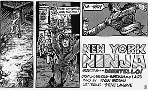 New York Ninja by Kevin Eastman, Peter Laird