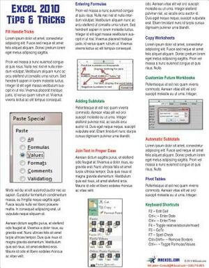 Excel 2010 Laminated Tip Card: Tips and Tricks from Mrexcel by Bill Jelen