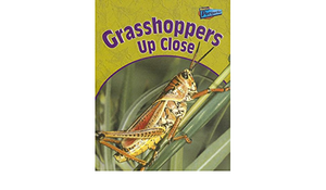 Grasshoppers Up Close by Greg Pyers