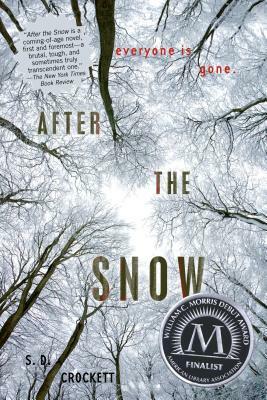 After the Snow by S.D. Crockett