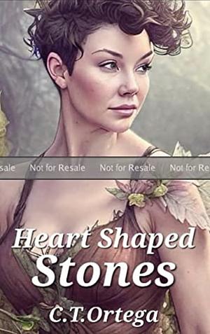 Heart Shaped Stone  by CT Ortega