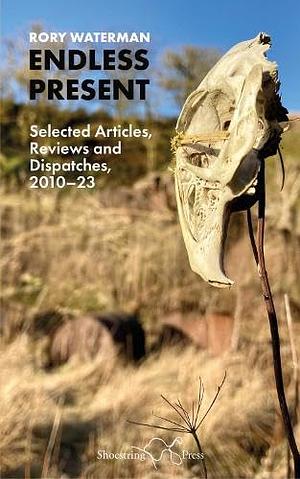 Endless Present: Selected Articles, Reviews and Dispatches, 2010–23 by Rory Waterman