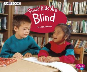 Some Kids Are Blind: A 4D Book by Lola M. Schaefer