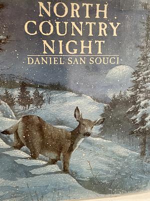 North Country Night by Daniel San Souci