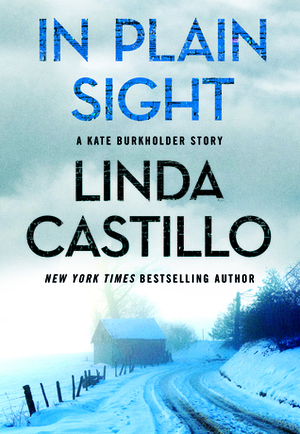 In Plain Sight by Linda Castillo