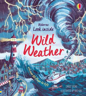 Look Inside: Wild Weather by Emily Bone