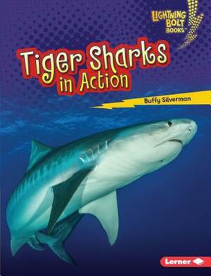 Tiger Sharks in Action by Buffy Silverman