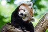 bronwens_books's profile picture
