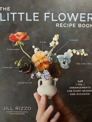 The Little Flower Recipe Book: 148 Tiny Arrangements for Every Season and Occasion by Jill Rizzo