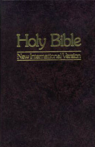 Holy Bible: New International Version by 