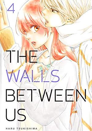 The Walls Between Us, Vol. 4 by Haru Tsukishima