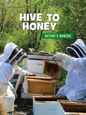 Hive to Honey by Julie Knutson