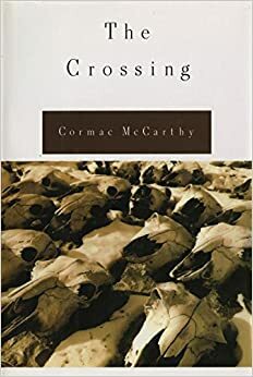 گذرگاه by Cormac McCarthy, کاوه میرعباسی