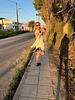 hendyl93's profile picture