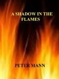 A Shadow in the Flames by Peter Mann