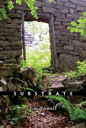 Substrate: Poems by Jim Powell