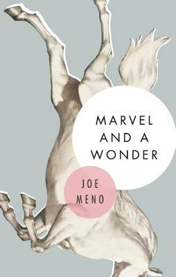 Marvel and a Wonder by Joe Meno
