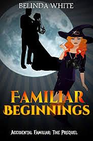 Familiar Beginnings by Belinda White