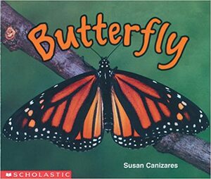 Butterfly by Susan Cañizares