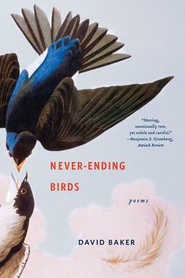 Never-Ending Birds: Poems by David Baker