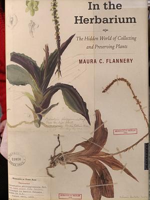 In the Herbarium: The Hidden World of Collecting and Preserving Plants by Maura C. Flannery