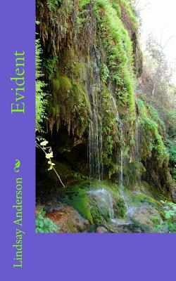 Evident by Lindsay Anderson