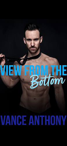 View From the Bottom: A Bundle of Gay Erotic Shorts by Vance Anthony