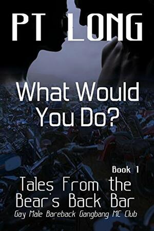 Tales From the Bear's Back Bar: What Would You Do? by P.T. Long
