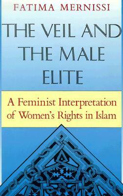 The Veil and the Male Elite: A Feminist Interpretation of Women's Rights in Islam by Fatema Mernissi